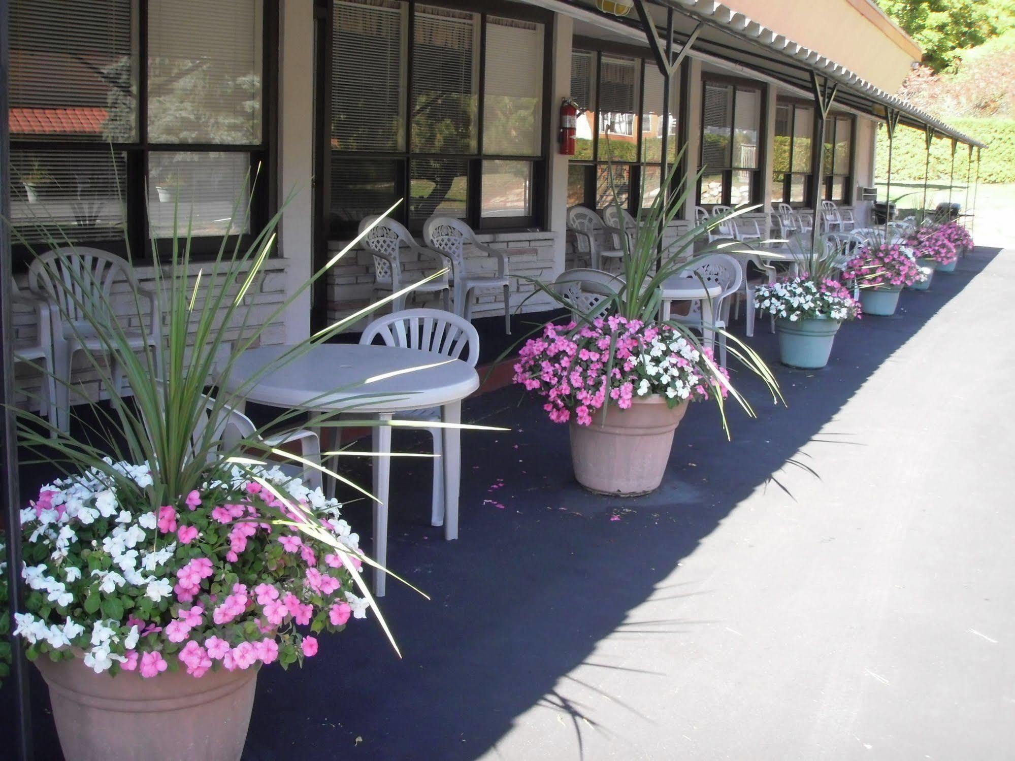 Capricorn Motel Royale 1000 Islands Lansdowne Exterior foto